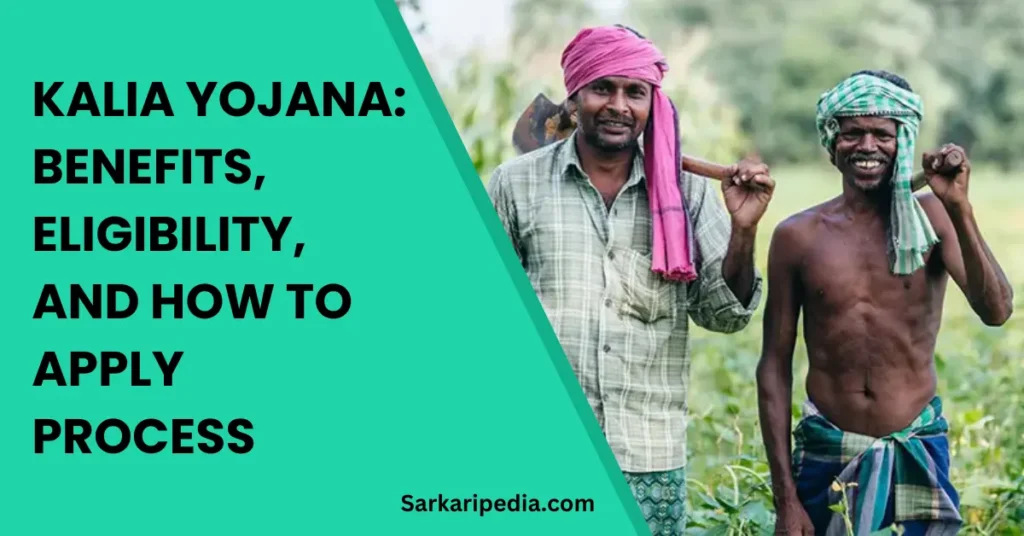 KALIA Yojana